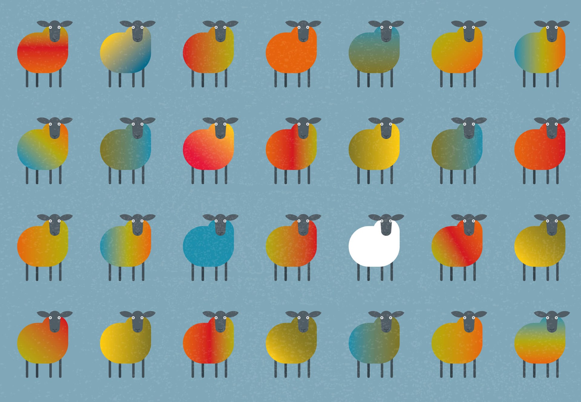 Multicoloured sheep