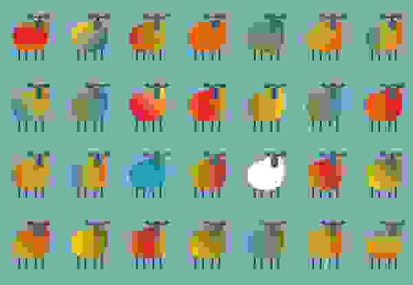 Multicoloured sheep